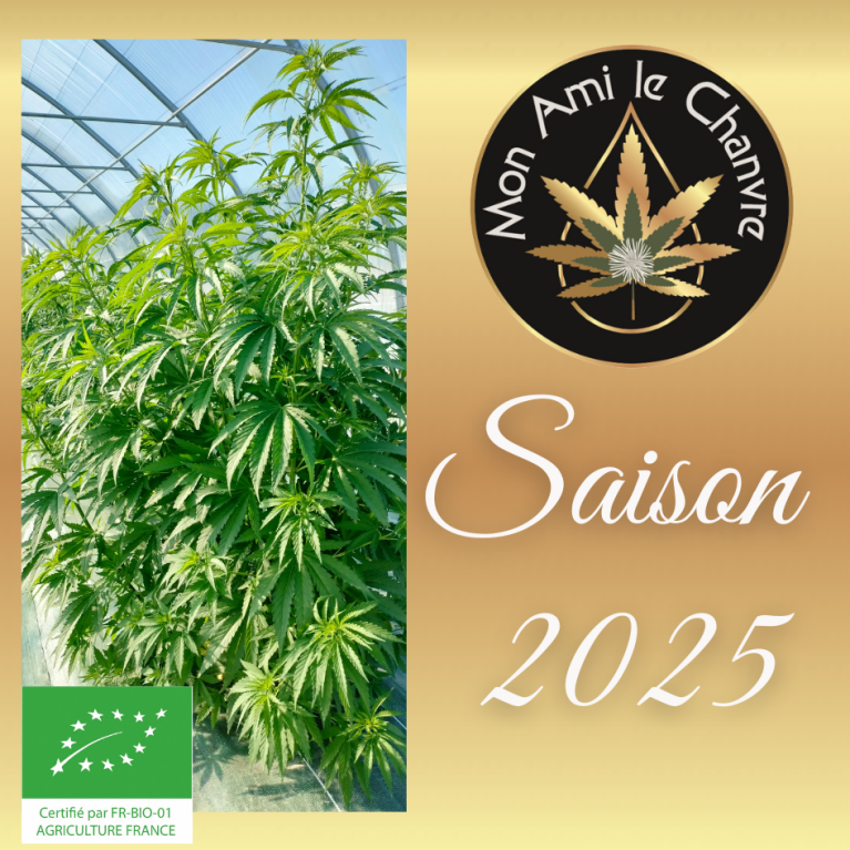 Suivez l'évolution de ma production de chanvre Bio